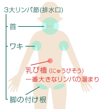 リンパトリートメント 足つぼの必要性